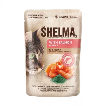Nassfutter für Katzen SHELMA mit Lachs in Sauce, Alleinfuttermittel für ausgewachsene Katzen, 85 g, 10 % Protein, 81 % Feuchtigkeit