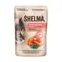 Nassfutter für Katzen SHELMA mit Lachs in Sauce, Alleinfuttermittel für ausgewachsene Katzen, 85 g, 10 % Protein, 81 % Feuchtigkeit