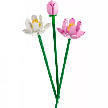 LEGO-Bauset LEGO 40647 Lotus Flowers — Botanical Collection modulares Modell, 220 Teile, Höhe 300 mm, Alter 8+