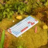 VGN V98 Pro Gaming-Tastatur, Box Autumn - Maple Sugar Limited Edition (US)