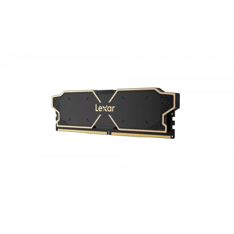 Lexar LD5U08G60C38LG-RGD Speichermodul