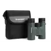 Fernglas Celestron Nature DX 10x32
