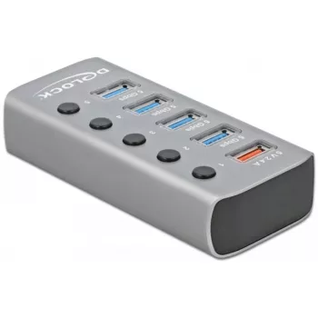 Delock DELOCK-63262 Grau
