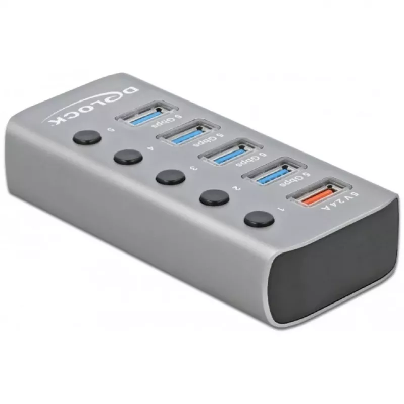 Delock DELOCK-63262 Grau