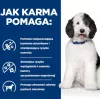 HILL'S PD Canine Urinary Care C/D - Nassfutter für Hunde - 370 g