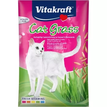 Vitakraft Katzengras-Samen 50 g — essbare Pflanzenmischung für Katzen, 50 g Beutel, unterstützt die Verdauung und die Beseitigung von Haarballen