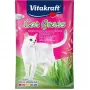 Vitakraft Katzengras-Samen 50 g — essbare Pflanzenmischung für Katzen, 50 g Beutel, unterstützt die Verdauung und die Beseitigung von Haarballen