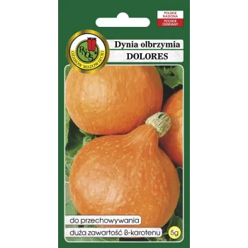 Samen — Apte Dynia Olbrzymia Dolores (Riesenkürbis) Samen, Packung 5 g