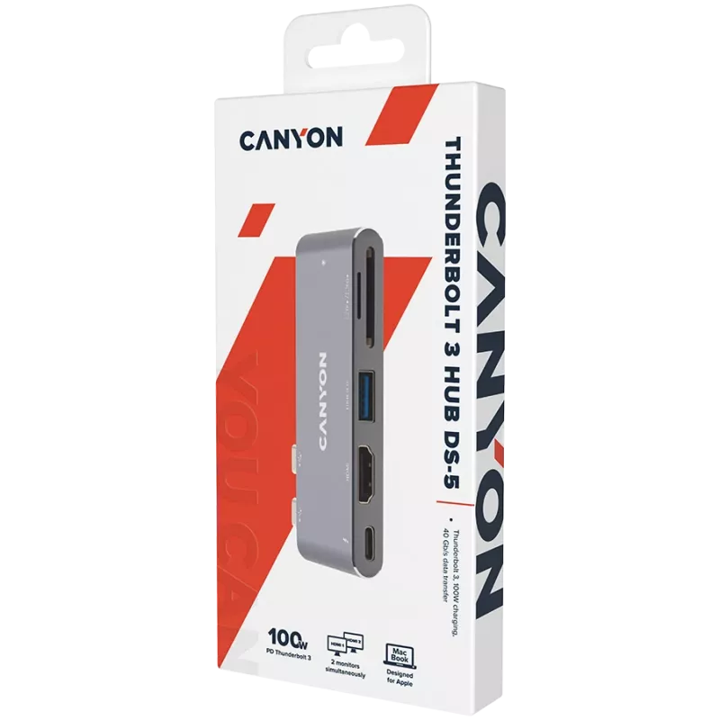 Canyon DS-5 USB 2.0 Type-C Grau SD-Kartenleser 60 Hz