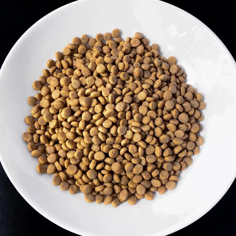 VET RESPONSE Gewicht balance - Trockenfutter für Katzen - 1,6 kg