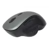 Optische Maus Gembird MUSW-6B-02-BG USB
