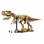 LEGO Dinosaurier-Skelette Tyrannosaurus 76968 Baukasten – baubares T. rex Skelettmodell