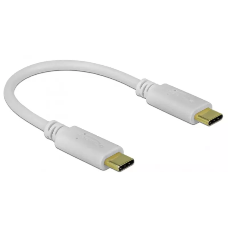 Delock - USB-C-/Stromkabel - 24-poliger USB-C-Stecker auf 24-poligen USB-C-Stecker - 5 A - 15 cm - USB-Stromversorgung (100 W), unterstützt Power Delivery 2.0 - Weiß (85357)
