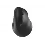 Kabellose optische Maus NATEC CRAKE 2 — Bluetooth 5.2, 2400 DPI, 6 Tasten, rechtshändig, schwarz