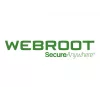 Webroot | DNS Protection mit GSM-Konsole | 2 Jahr(e) | Lizenzmenge 1-9 Benutzer