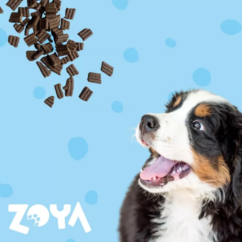 Trockenfutter für Hunde ZOYA ColdPRO Ente 9 kg — Adult Maintenance, Monoprotein, 26 % Protein, 10 % Fett
