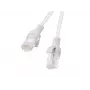 Netzwerk-Patchkabel LANBERG PCU6-20CC-0050-S Cat6 U/UTP 0,5 m Grau RJ-45