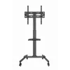 TV-Ständer GEMBIRD TVS-55T-01 für 32–55 Zoll Fernseher, Stahl, höhenverstellbar VESA 100x100–400x400, neigbar, Rollen, max. Belastung 35 kg