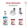 ROYAL CANIN SHN Medium Adult Laib Dose 410g