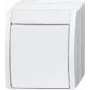 Busch Jaeger Ausschalter 2601/2 W-54 (2CKA001085A1627)