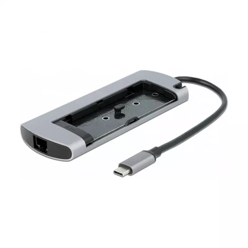Dockingstation DeLOCK USB Type-C Dockingstation mit M.2-Steckplatz