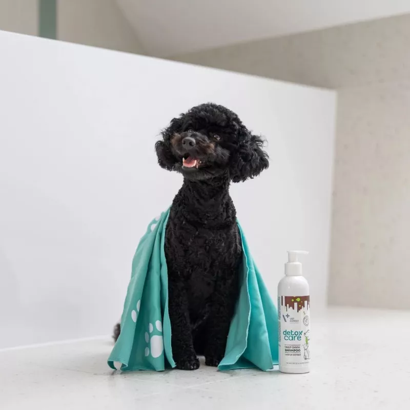 VetExpert Detox Care Deep Dark Shampoo für Hunde und Katzen, 250 ml