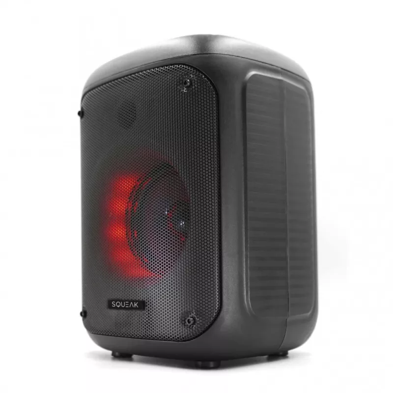 SQUEAK KARAOKE-LAUTSPRECHER BEATFLOW BT 5.0 + EDR SQ1005