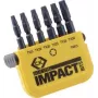 C.K. Bit-Set 6-teilig TORX Torsion Control Technologie (T4513)