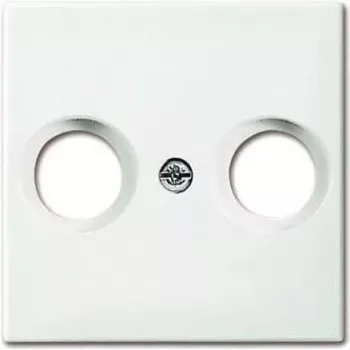 Wandplatte / Schalterabdeckung Busch-Jaeger 1724-0-4334 Weiß für Busch-balance SI