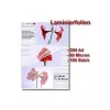 Laminierfolien Olympia 1x100 DIN A4 80 Mikron