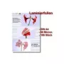 Laminierfolien Olympia 1x100 DIN A4 80 Mikron
