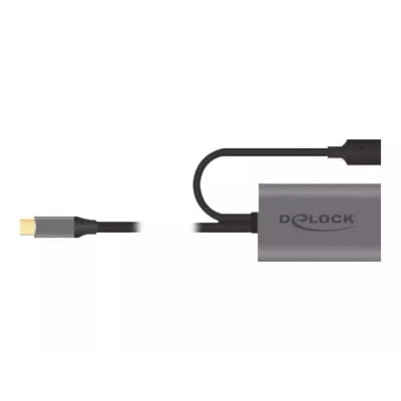 Delock USB-20225 Netzteil Grau