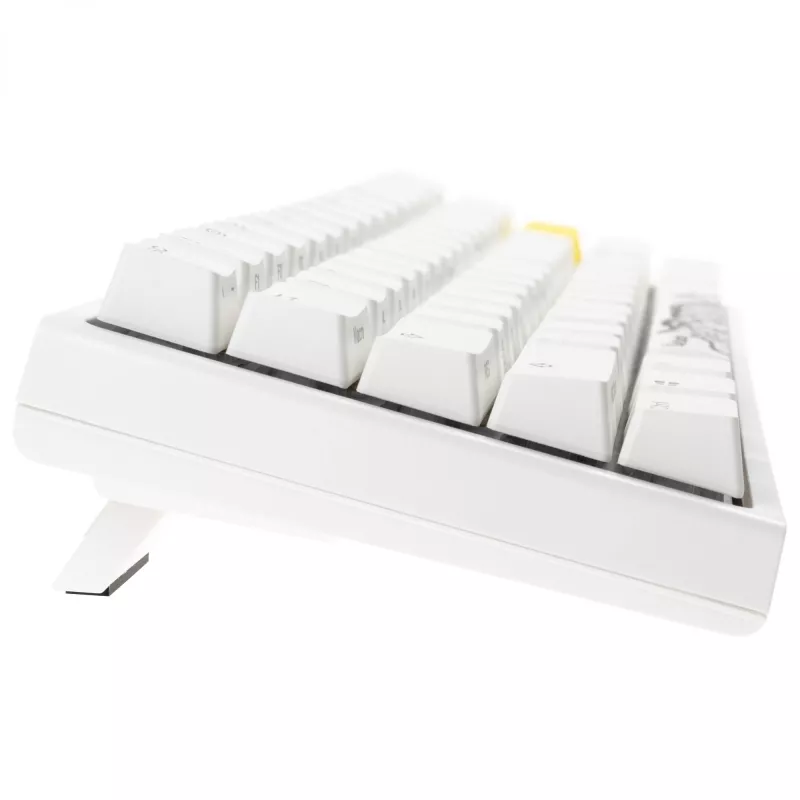 Mechanische Gaming-Tastatur Ducky One 2 Pro Mini RGB LED mit Cherry MX Blue Schaltern, 60% Layout