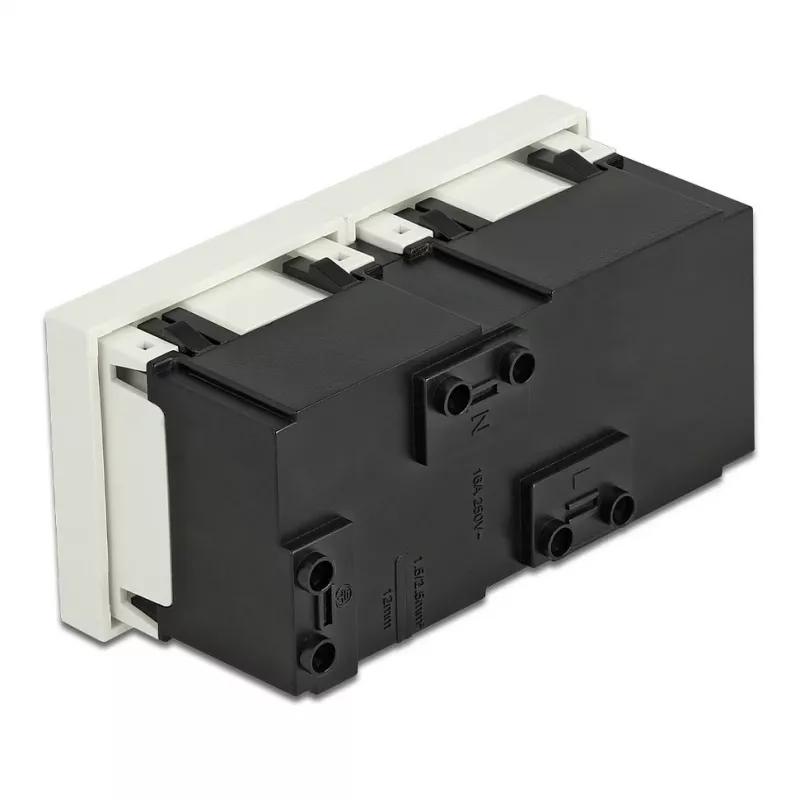 Wandsteckdose DELOCK 81423 — CEE 7/3, 16 A, 250 V, Weiß, ABS/PC, 45×90 mm