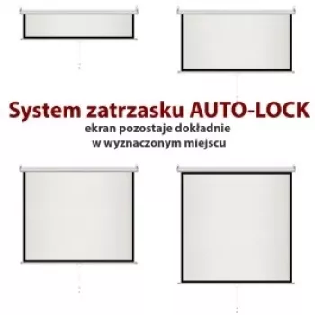 Manuelle Leinwand 4:3 halbautomatisch 120 244x183cm MS-120 4:3