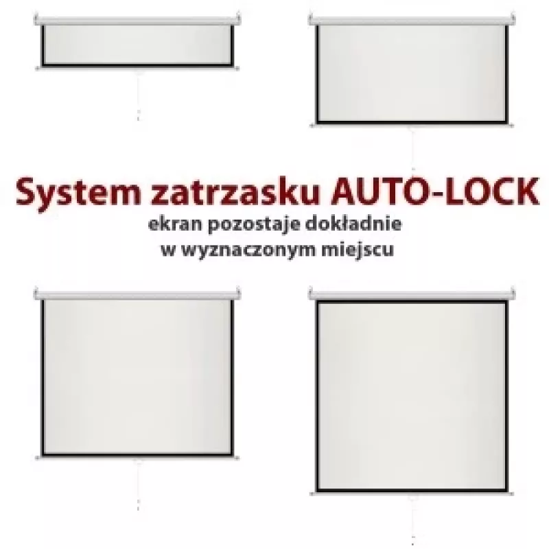 Manuelle Leinwand 4:3 halbautomatisch 120 244x183cm MS-120 4:3