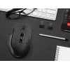 Maus Tracer Cozy Right-hand RF Wireless Optical 1600 DPI