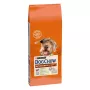 Trockenfutter Purina Nestlé Dog Chow Mature Senior mit Lamm 14 kg, 24% Protein, 10% Fett