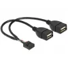 Internes USB-Kabel DeLOCK 83292 0,2 m Buchse auf Buchse