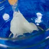 Wissenschaftsbaukasten Liscianigiochi Crazy Science Schleim im Dunkeln 304-PL89239 — Experimentierset mit im Dunkeln leuchtendem Schleim