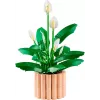 LEGO BOTANICALS 11504 Friedenslilie