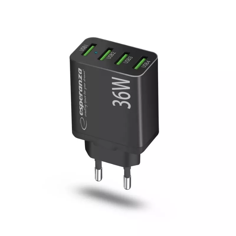 Esperanza EZC107K Netzladegerät 36W Schwarz