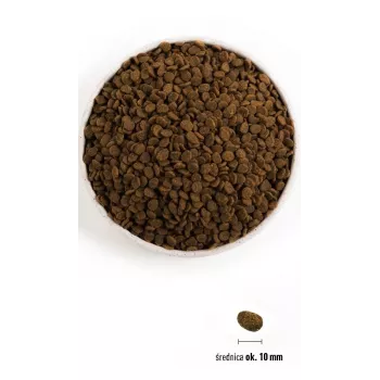 ORIJEN Guardian 8 - Trockenfutter für Katzen - 1,8 kg