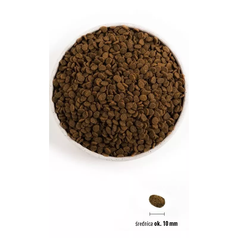 ORIJEN Guardian 8 - Trockenfutter für Katzen - 1,8 kg