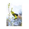 Ryobi Astschere