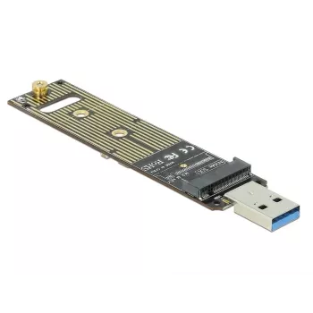Interner M.2-Adapter DeLOCK 64069