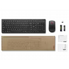 Lenovo Tastatur und Maus kabellos Schwarz