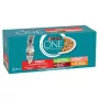 PURINA One Sterilcat Beef, salmon, chicken, turkey - Nassfutter für Katzen - 40x85g