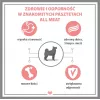 PUPIL Premium All Meat Gold Lammrücken - Nassfutter für Hunde - 800 g