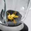 Caso | Mixer | MX 1000 | Tischgerät | 1300 W | Behältermaterial Glas | Behältervolumen 1,5 L | Eiszerkleinerung | Edelstahl